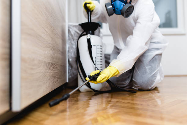 Best Cockroach Control Services  in Summit Hill, PA