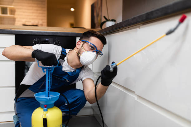 Best Emergency Pest Control  in Summit Hill, PA