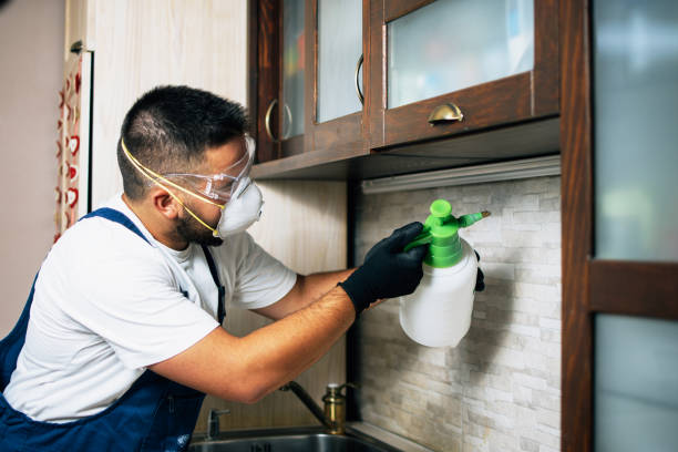Best Local Pest Control Services  in Summit Hill, PA
