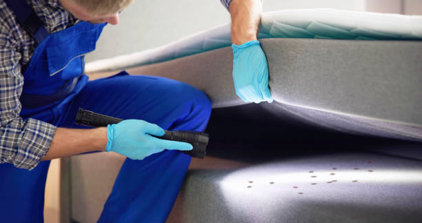 Trusted Summit Hill, PA Pest Control Experts