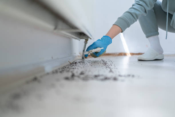 Best Wildlife Control Services  in Summit Hill, PA