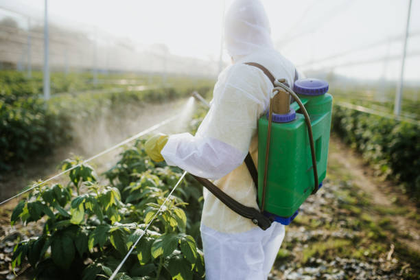 Best Residential Pest Control  in Summit Hill, PA